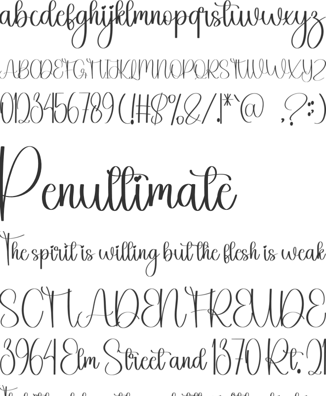 Wildfire font preview