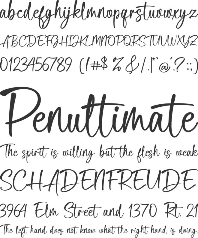 Delica Sitteen font preview
