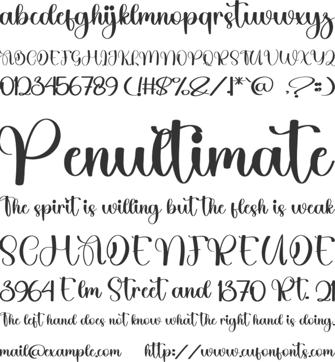 Awesome Christmas font preview