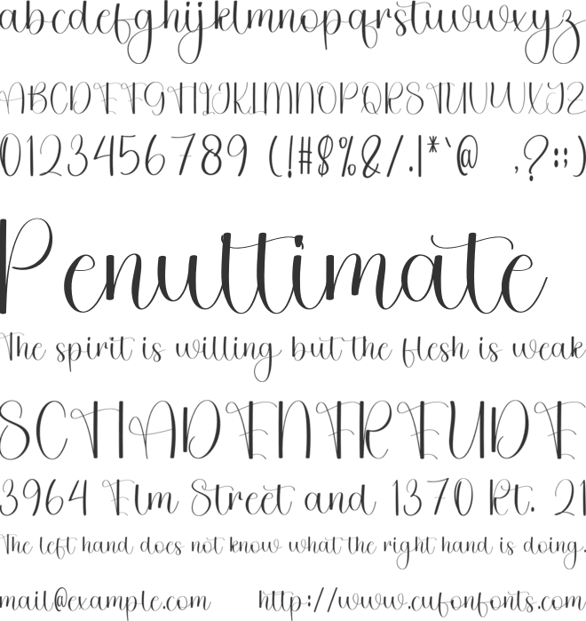 Wedding Saturday font preview