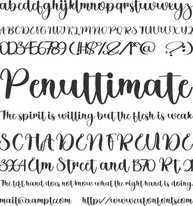 Birthday Wonderful font preview