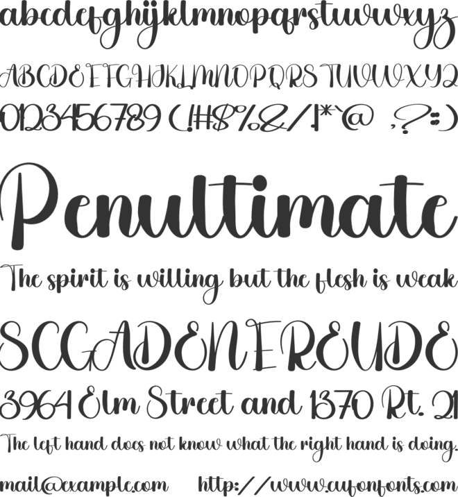 Stay Dreaming font preview