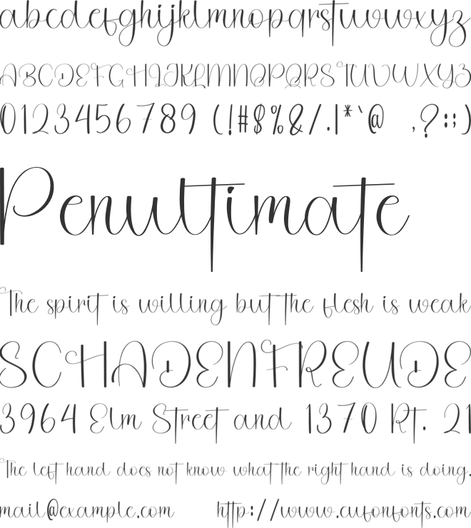 Wedding Photography font preview