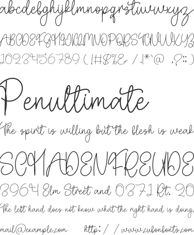 Stylish Angelina font preview