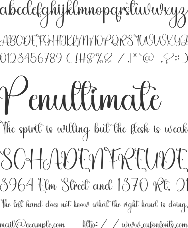 Shelly font preview