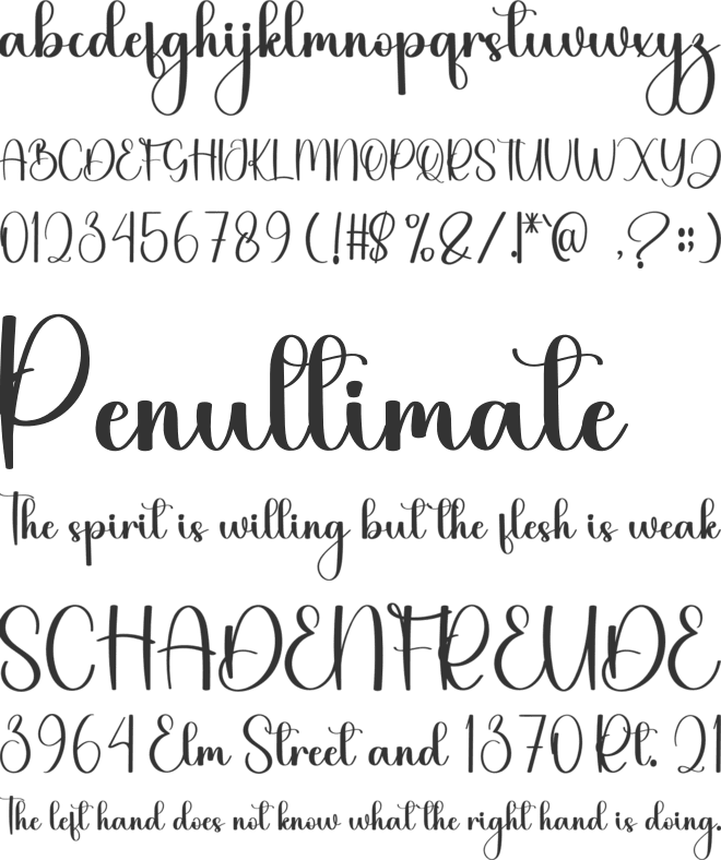 Biscuit Better font preview