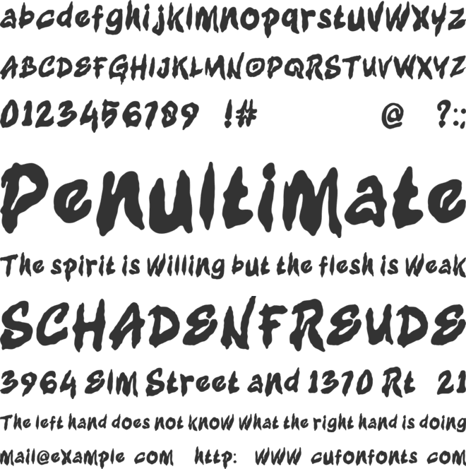 ROGAK font preview
