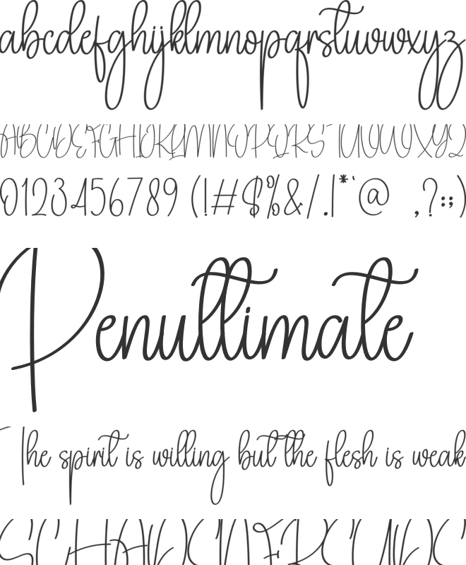 Simple Calligraph font preview