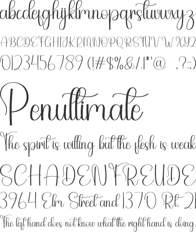 Signature Studio font preview