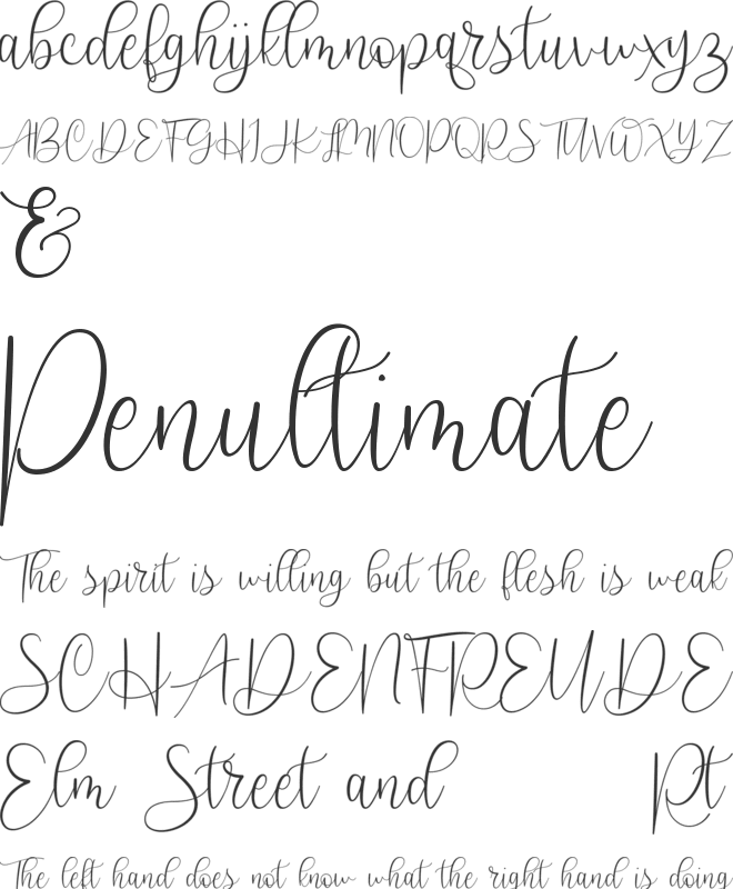 Scriptys font preview