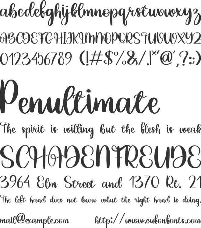 Clairmont Script font preview