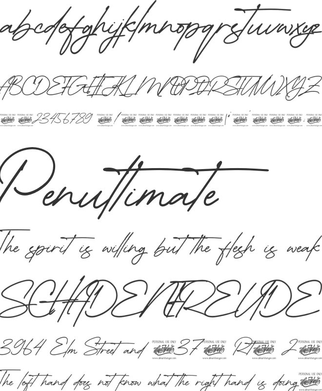 Mountain Signature font preview