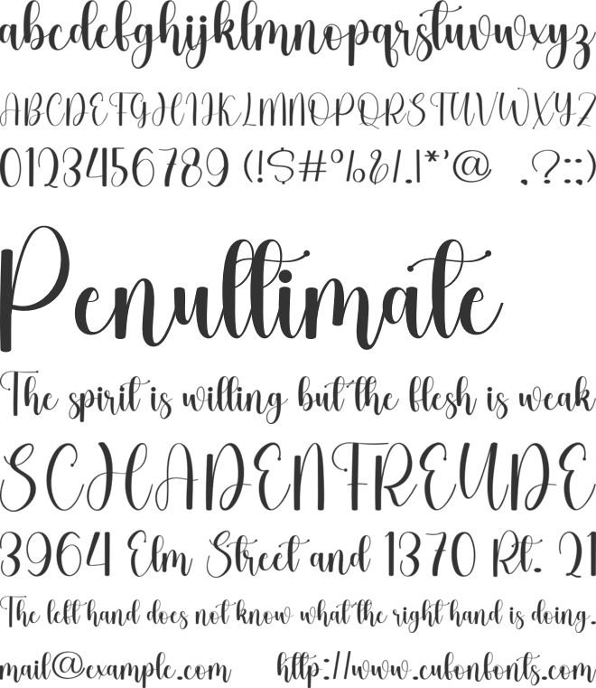 Lightyear font preview