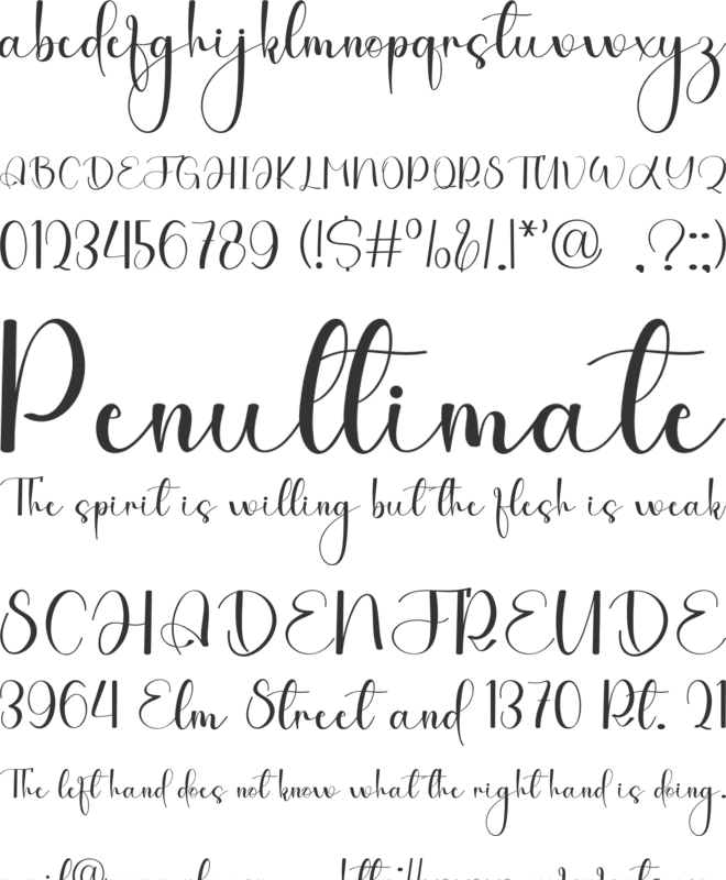 Writing Nightday font preview