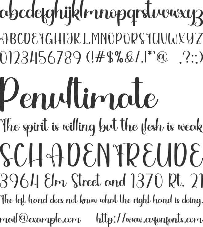 Aurora Chubby font preview