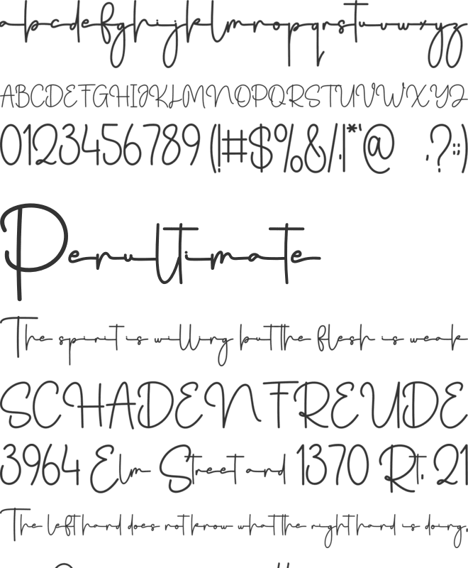 The National font preview