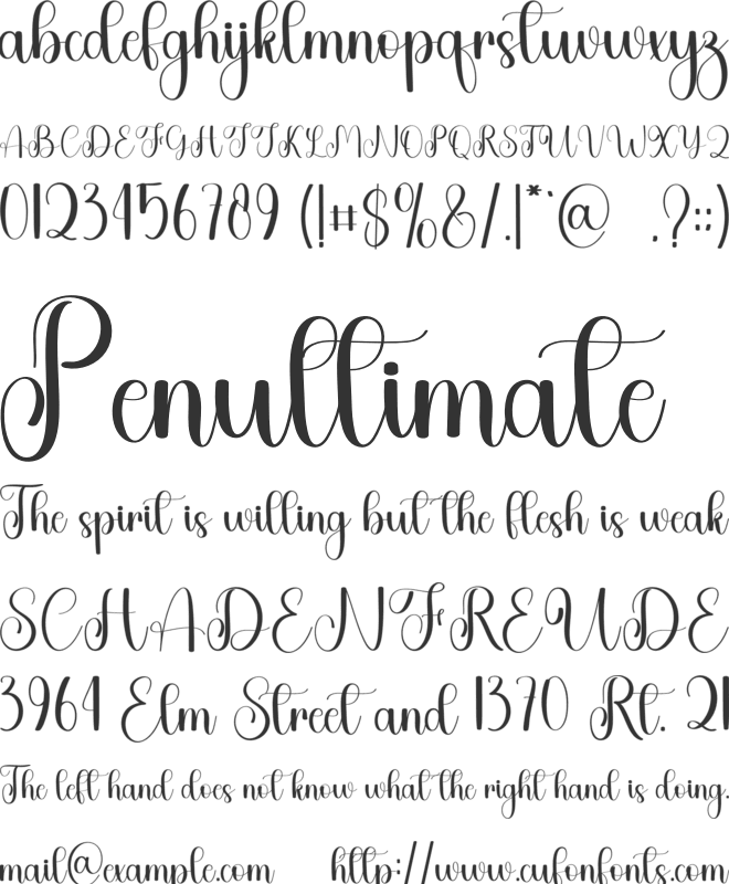 Birthday Wednesday font preview