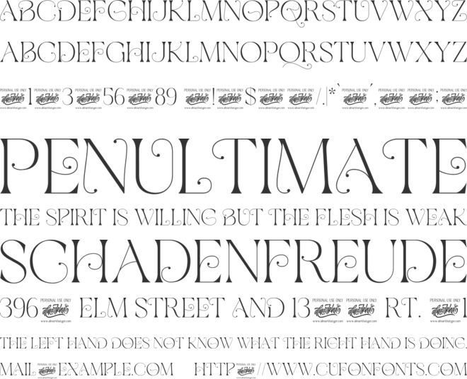 Bracesso font preview