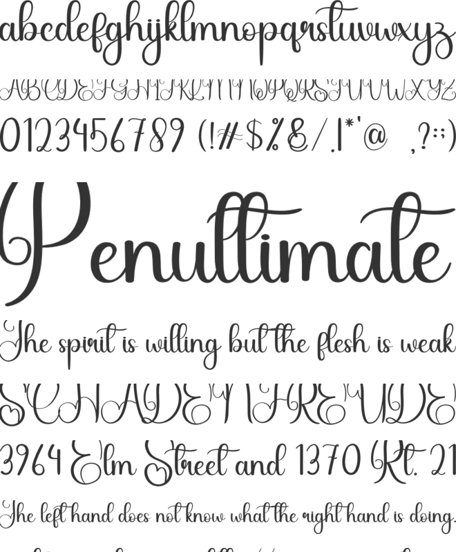 Angelina font preview