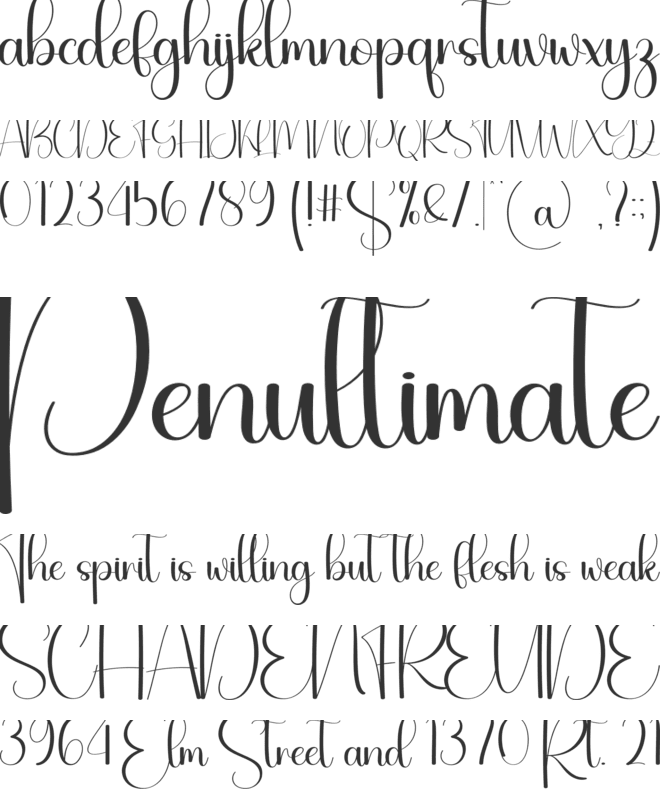 Noteday font preview