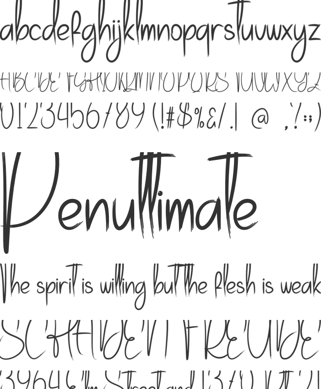 Sunday Calligraphy font preview