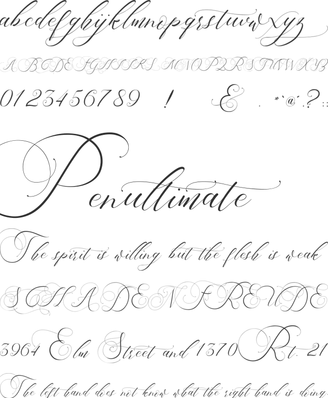 Beauty Angelique font preview