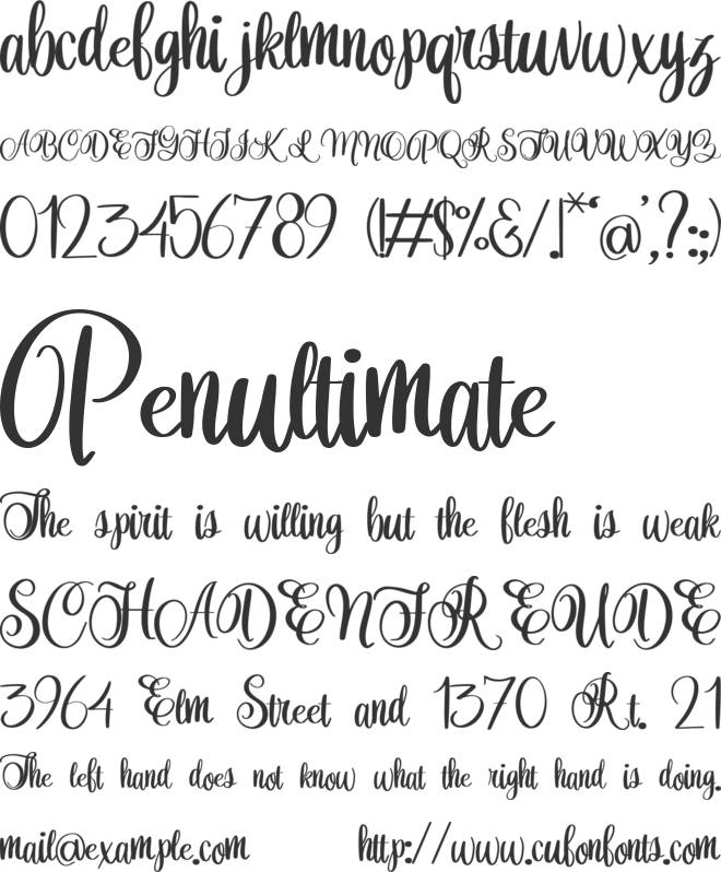 Orchidia font preview