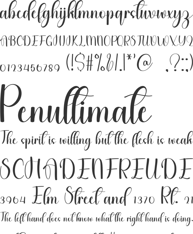 Signature Enchanting font preview
