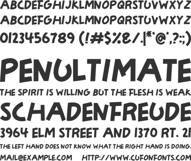 Playbook font preview