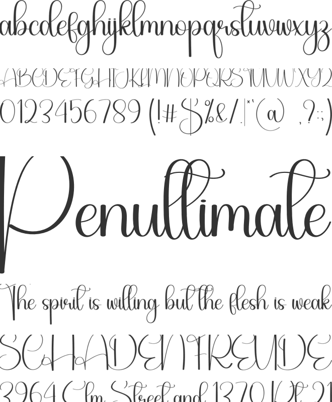 Bighome font preview