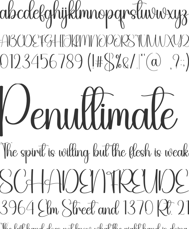 Family font preview