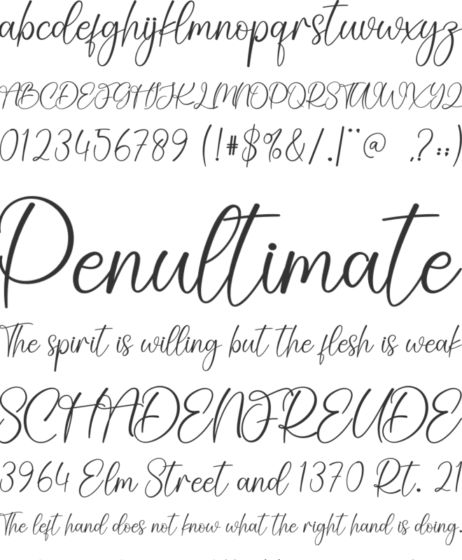 Company font preview