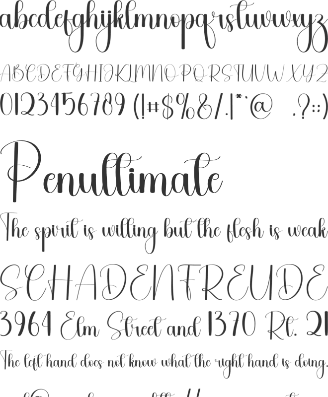 Denied font preview