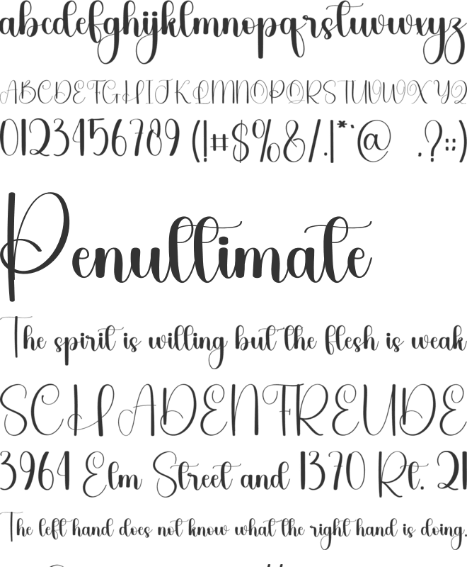 Weekly Planning font preview