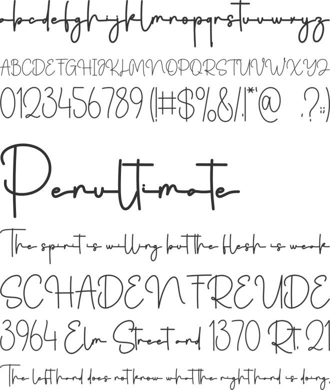 Mother Signature font preview