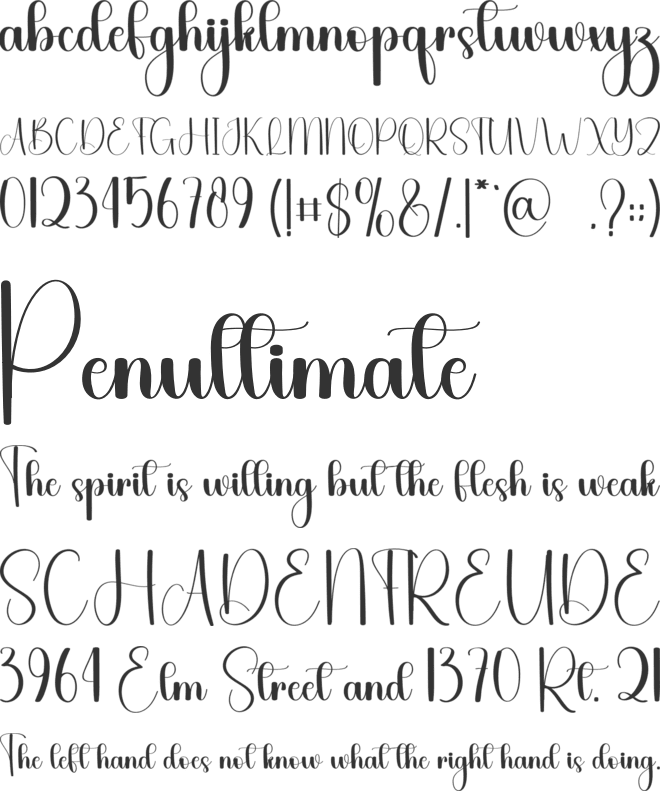 Summer Painted font preview
