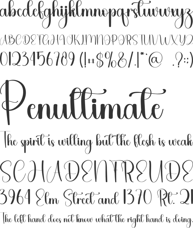 Father Holiday font preview