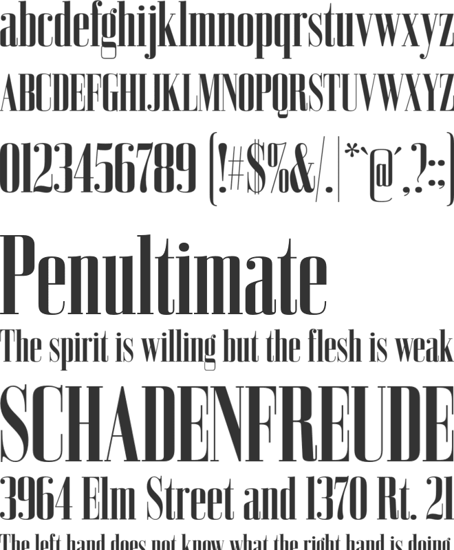 Bodoni Z37 font preview