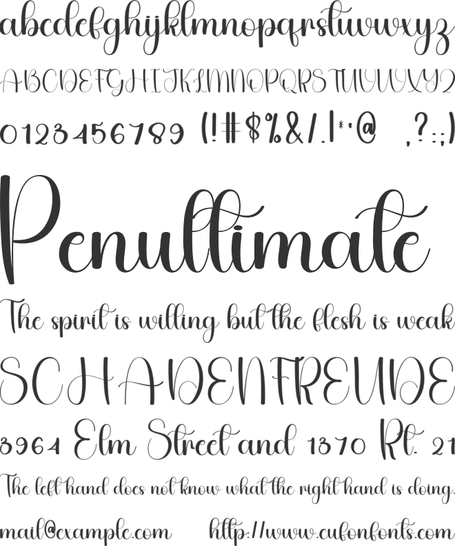 Simple Daisy font preview