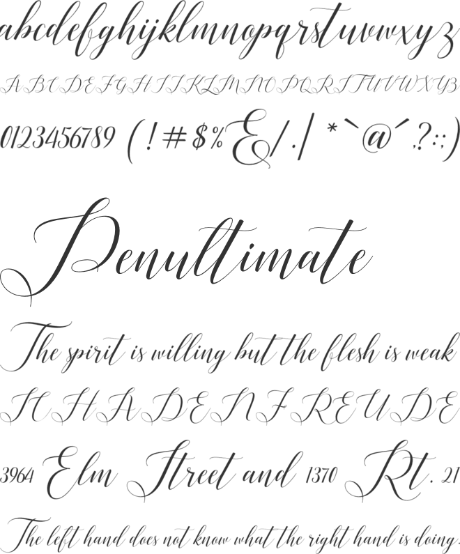 Rosething font preview