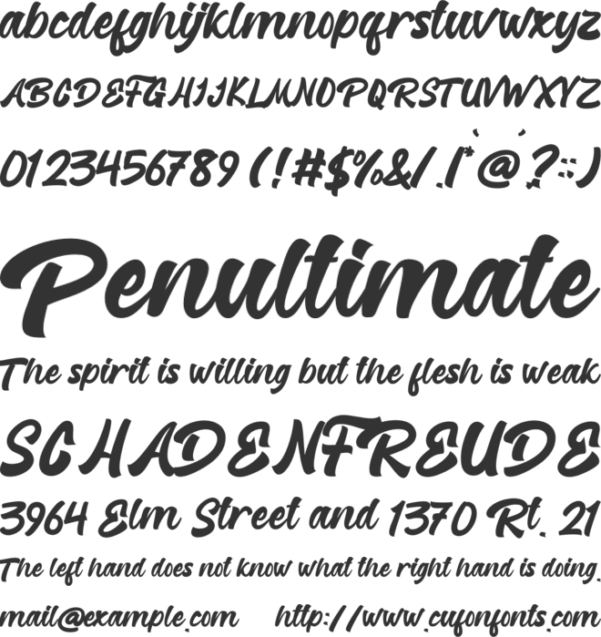 Reginetta font preview