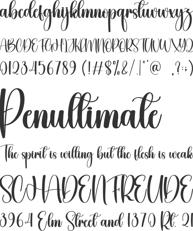 Calligraph font preview