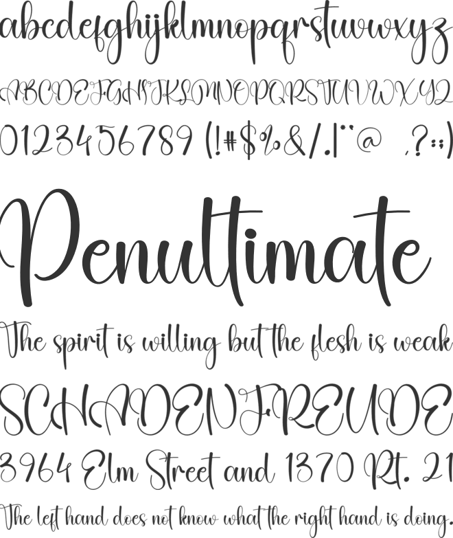 Father font preview