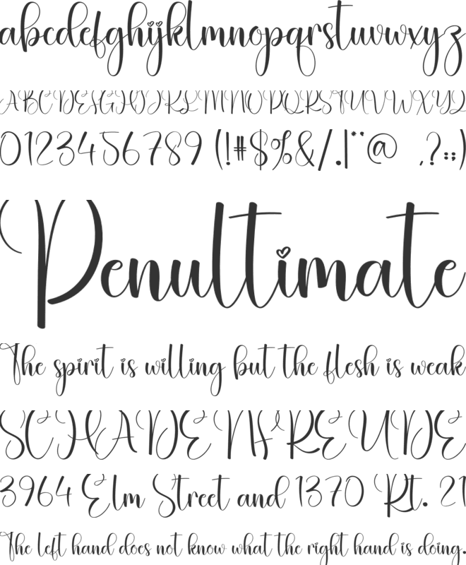 Ashley font preview