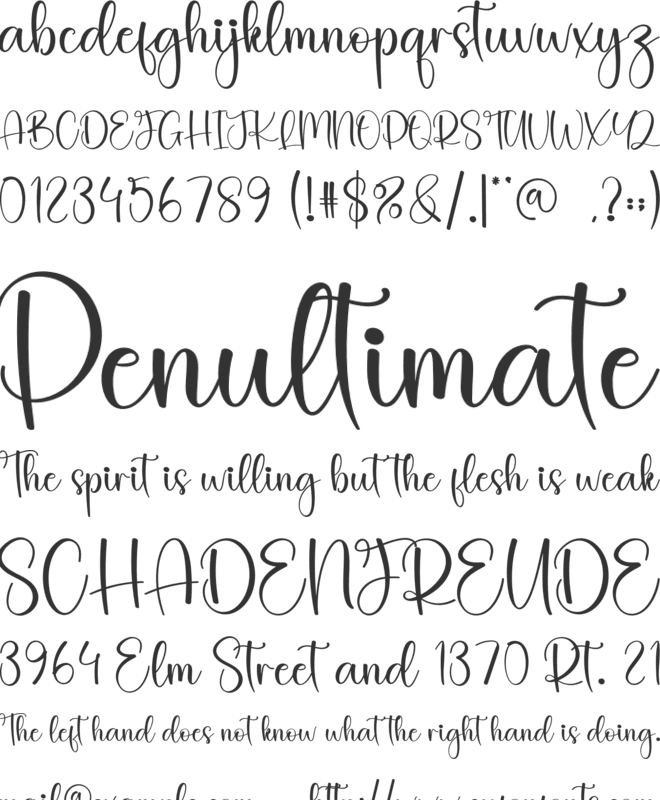 Wildflower font preview