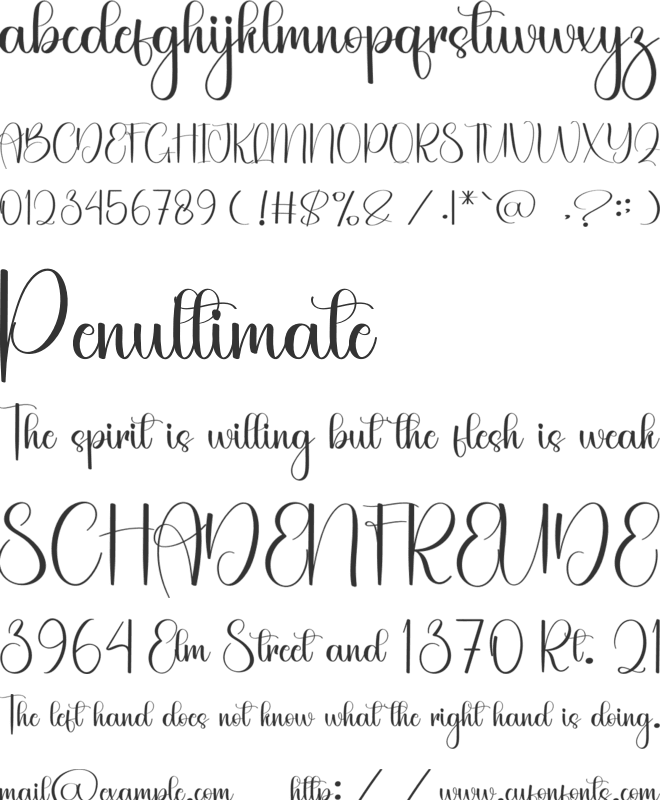 Amellia Wedding font preview