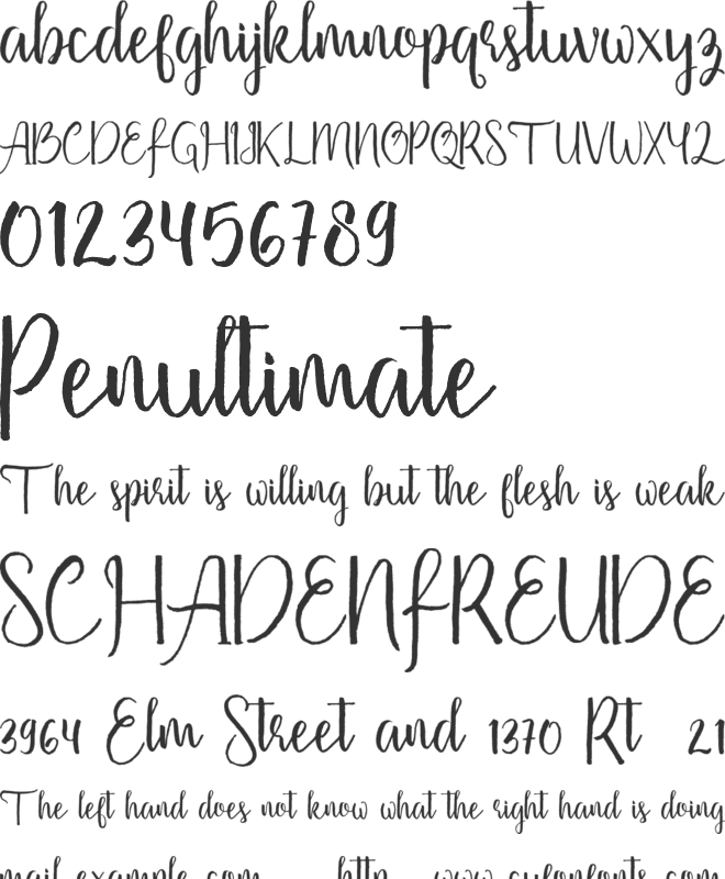 Firdaus font preview