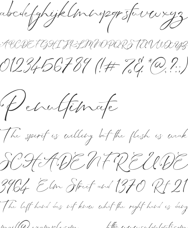 Amanda Signature Fancy Cursive font preview
