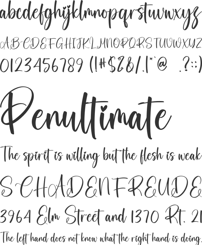 Pattern font preview