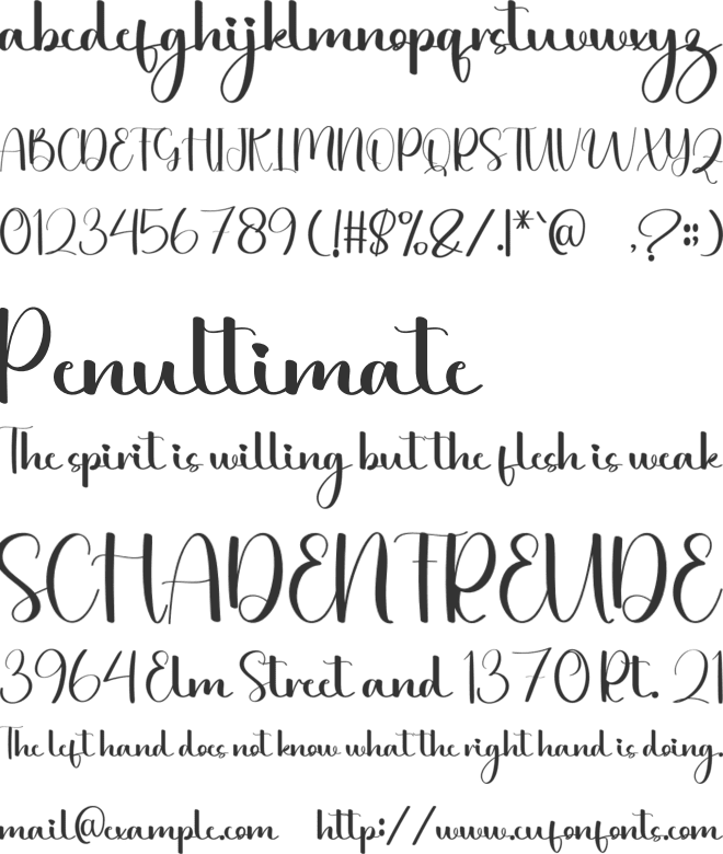 Trending Wedding font preview